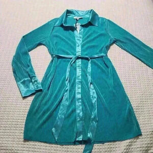 Ro & De Pleated Collared Long Sleeve Dress